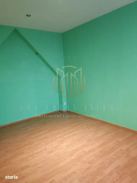 Giurgiului, Baciului,