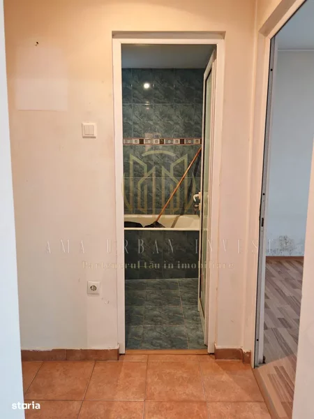 Giurgiului, Baciului,